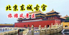 看男大鸡巴超B视频中国北京-东城古宫旅游风景区